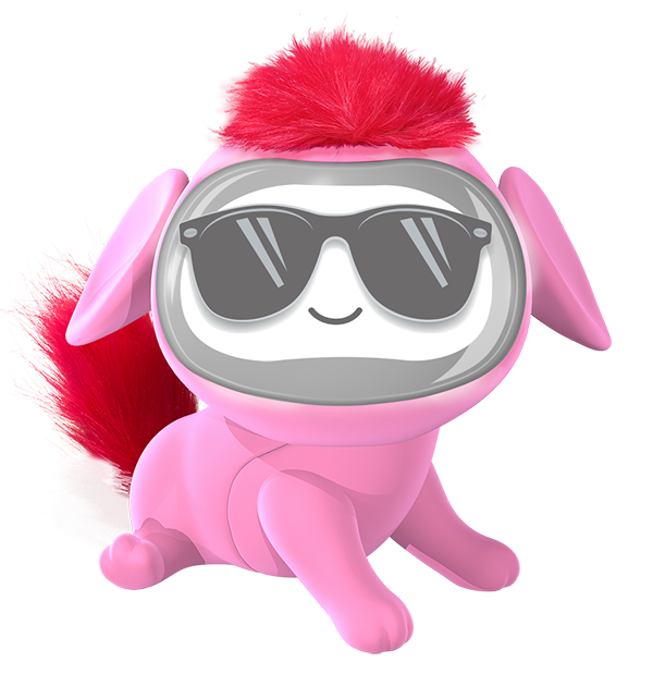 Pooki